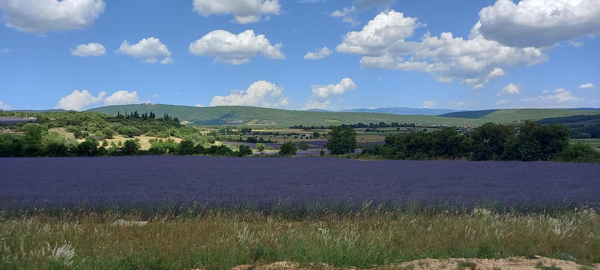 Gite La Mosaique Dauphin Bagian luar foto